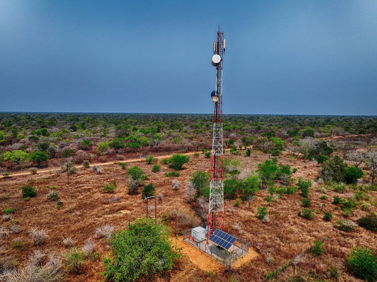 A communications mast in the African bush